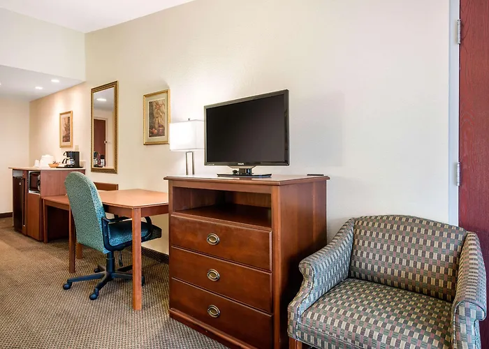 Quality Inn & Suites Tarpon Springs South